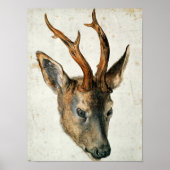 Hoofd van een Roe Deer Poster (Voorkant)
