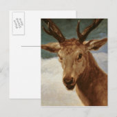 Hoofd van een Stag, 1634 Briefkaart (Voorkant / Achterkant)