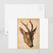 Hoofd van een Stag van Albrecht Durer Briefkaart (Voorkant / Achterkant)