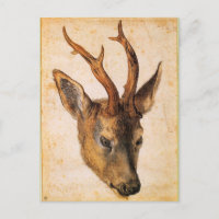 Hoofd van een Stag van Albrecht Durer