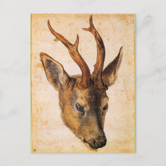 Hoofd van een Stag van Albrecht Durer Briefkaart