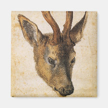 Hoofd van een Stag (Wilde Dier) (door Albrecht Dur