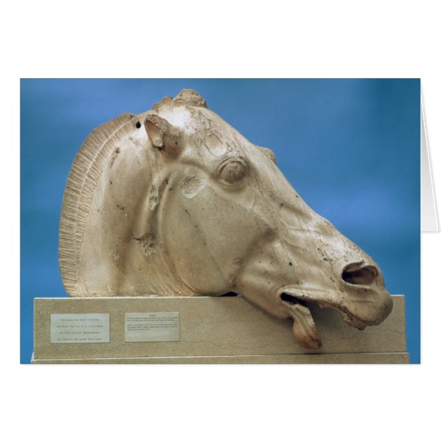 Hoofd van een van de paarden van Selene (Voorkant Horizontaal)