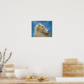 Hoofd van een van de paarden van Selene Poster (Keuken)
