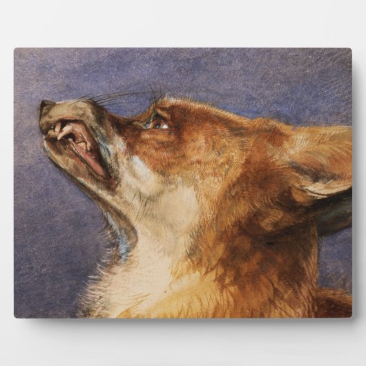 Hoofd van een vos fotoplaat (Voorkant)