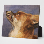 Hoofd van een vos fotoplaat (Zijkant)