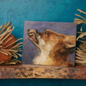 Hoofd van een vos fotoplaat (Zijkant)