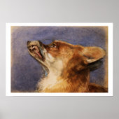 Hoofd van een vos poster (Voorkant)