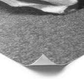 Hoofd van een vrouw bekend als Venus of Brassempou Poster (Hoek)