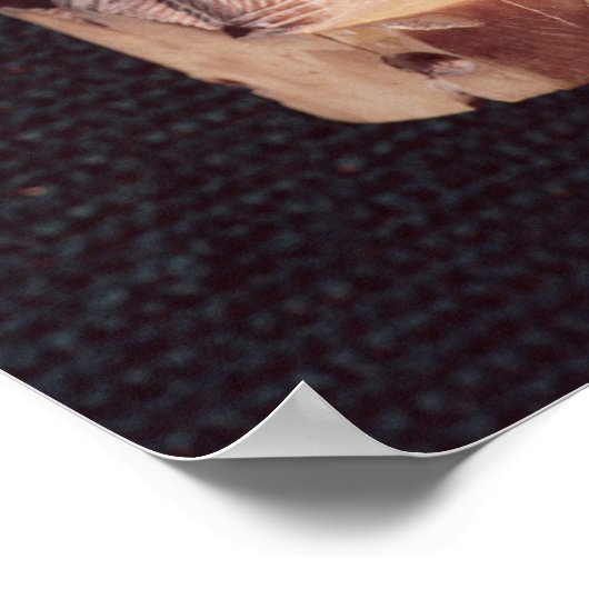 Hoofd van een vrouw, de Dame van de Nou Poster (Hoek)