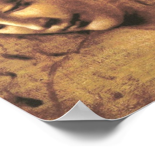 Hoofd van een vrouw La Scapigliata Leonardo Da Vin Poster (Hoek)