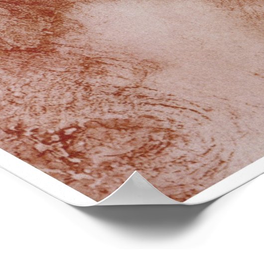 Hoofd van een vrouw, Leonardo da Vinci, 1510 Poster (Hoek)