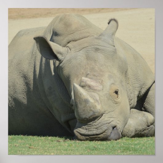 Hoofd van het beslag poster (Voorkant)