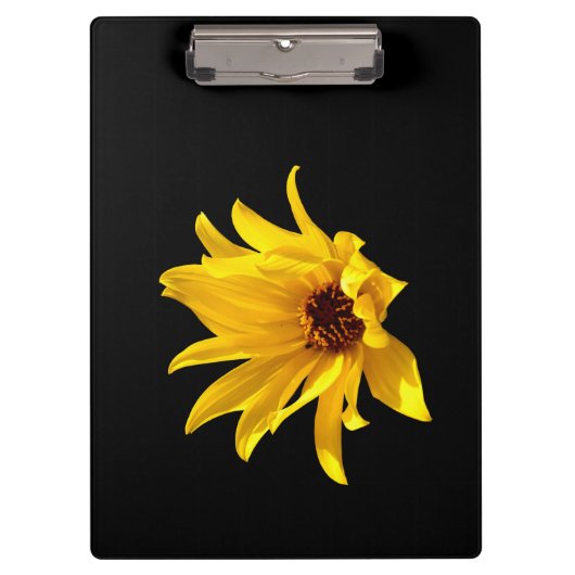 Hoofd van het gele daisy Helenium Klembord (Voorkant)