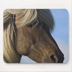 Hoofd van IJslands paard, IJsland Muismat