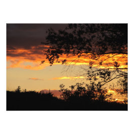 Hoofd van LOve Foto Afdruk