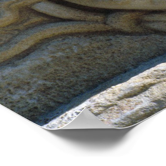 Hoofd van Medusa Poster (Hoek)