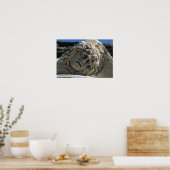 Hoofd van Medusa Poster (Keuken)