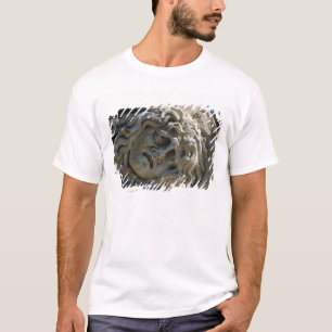Hoofd van Medusa T-shirt