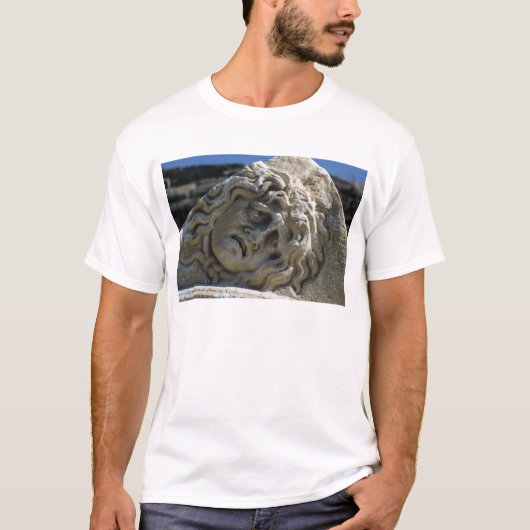 Hoofd van Medusa T-shirt (Voorkant)