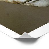 Hoofd van Philip de Arabische, Romeinse keizer (24 Poster (Hoek)