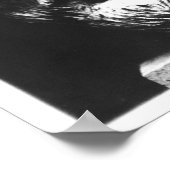 Hoofd van Plotinus Poster (Hoek)