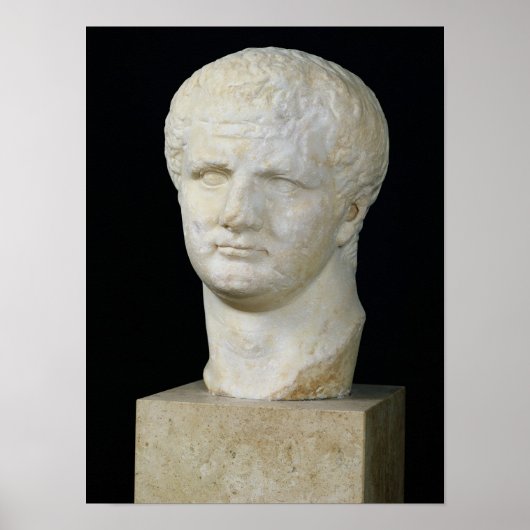 Hoofd van Titus Poster (Voorkant)