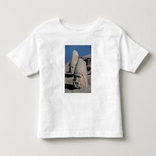 Hoofd van Zeus-Oromandes en godin Kinder Shirts