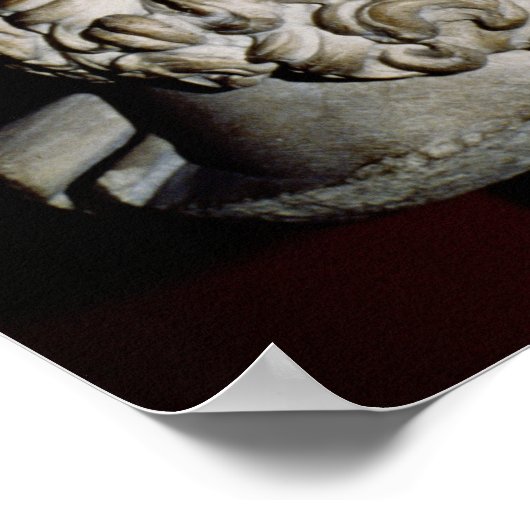 Hoofd van Zeus Poster (Hoek)