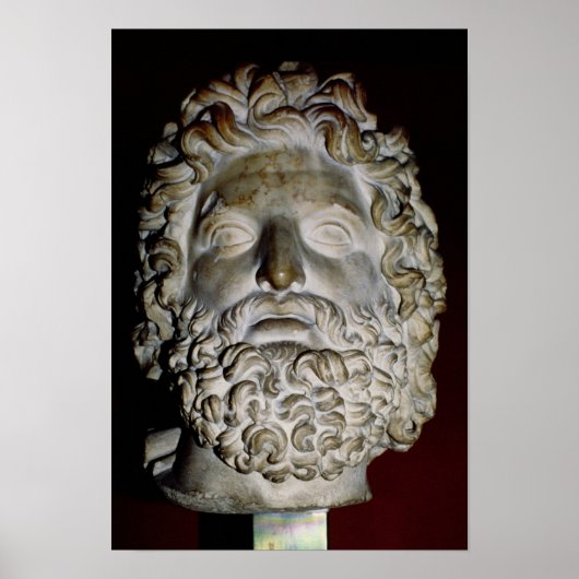 Hoofd van Zeus Poster (Voorkant)