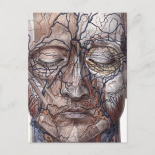 Hoofd Veinen en spieren Briefkaart