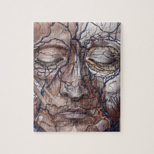 Hoofd Veinen en spieren Legpuzzel (Verticaal)