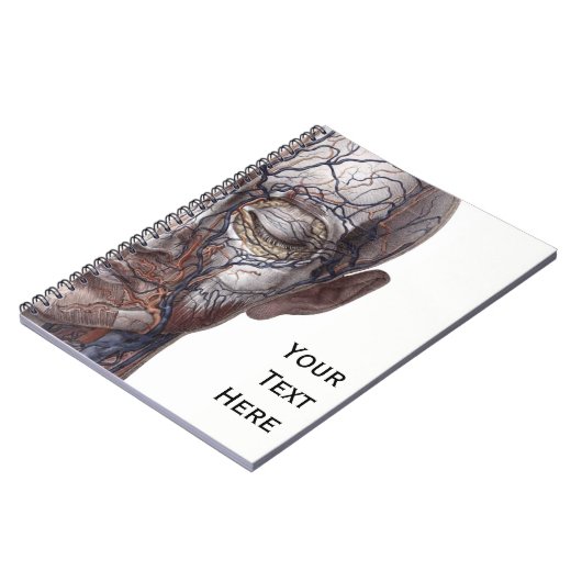 Hoofd Veinen en spieren Notitieboek (Linkerzijde)