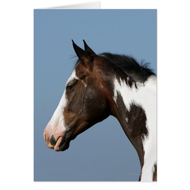 Hoofd verf paard 1 (Voorkant)