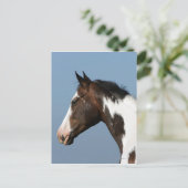 Hoofd verf paard 1 briefkaart (Staand voorkant)