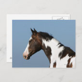 Hoofd verf paard 1 briefkaart (Voorkant / Achterkant)