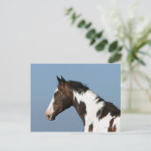 Hoofd verf paard 1 briefkaart (Staand voorkant)