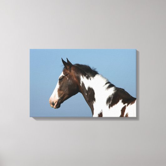 Hoofd verf paard 1 canvas afdruk (Voorkant)