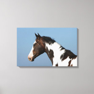 Hoofd verf paard 1 canvas afdruk