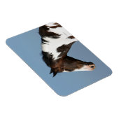 Hoofd verf paard 1 magneet (Rechterzijde)
