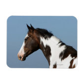 Hoofd verf paard 1 magneet (Horizontaal)