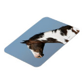 Hoofd verf paard 1 magneet (Linkerzijde)