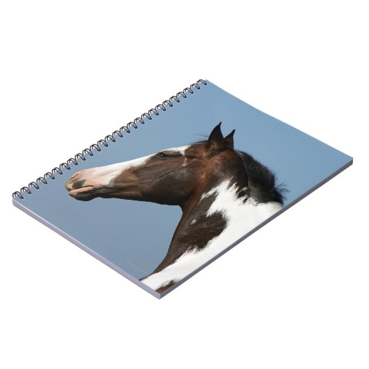 Hoofd verf paard 1 notitieboek (Linkerzijde)