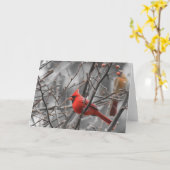 Hoofd vogel, kaart (Gele Bloem)