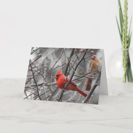 Hoofd vogel, kaart (Voorkant)