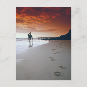 Hoofd voor persoonlijk gebruik briefkaart