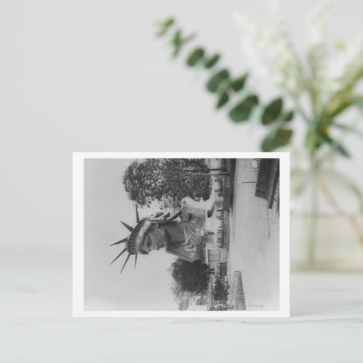 Hoofd Vrijheidsbeeld in Parijs Park Briefkaart (Staand voorkant)