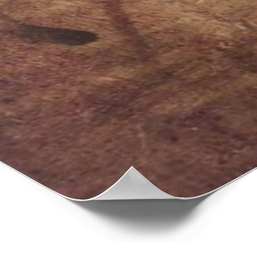 Hoofd vrouw poster (Hoek)