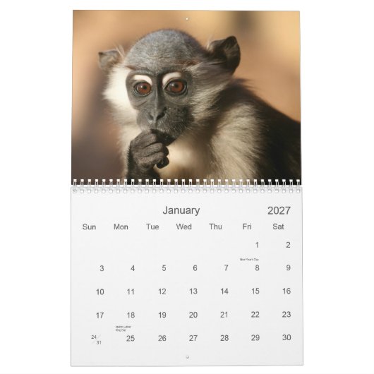 Hoofdagenda 2013 kalender (Jan 2027)