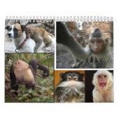 Hoofdagenda 2013 kalender (Hoes)